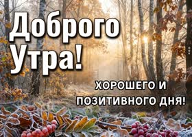 Пусть осенний воздух наполнит тебя энергией и вдохновением