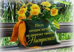 Пусть сегодня ничто не омрачит твоего настроения