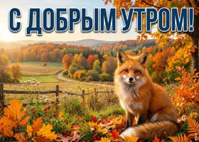 Пусть сегодняшний день будет таким же красивым, как осень вокруг.