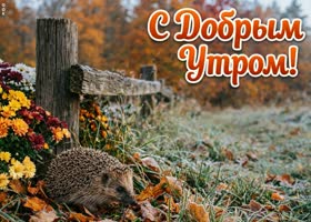 Пусть сегодняшний день будет таким же ярким, как осенние листья