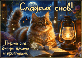 Пусть сны будут яркими и приятными, сладких снов