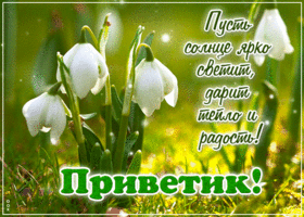 Пусть солнце ярко светит, дарит тепло и радость! Приветик