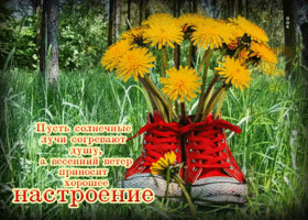 Пусть солнечные лучи согревают душу, а весенний ветер приносит хорошее настроение