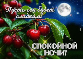 Пусть сон будет сладким! Спокойной ночи