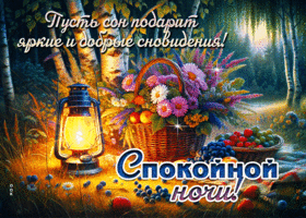 Пусть сон подарит яркие и добрые сновидения!