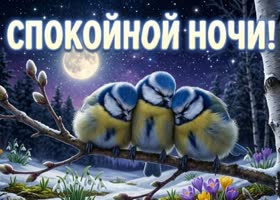 Пусть тебе приснятся чудеса