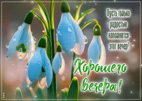 Пусть только радостью наполнится этот вечер