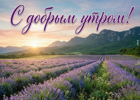 Пусть утро будет лёгким, как ветер.