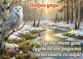 Пусть утро будет светлым, лёгким и по-настоящему весенним. Хорошего дня!