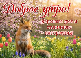 Пусть утро начнётся спокойно, а день сложится удачно