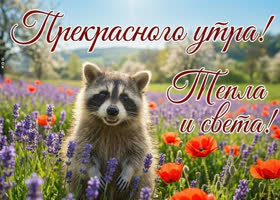 Пусть утро подарит радость.