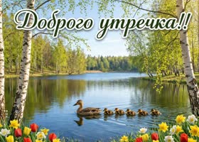 Доброе утро! Пусть день начнётся с приятных мелочей