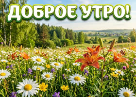 Пусть утро принесёт вдохновение.