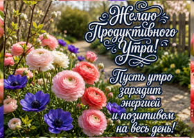 Пусть утро зарядит энергией и позитивом на весь день