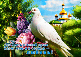 Пусть в твоей душе царит мир, а в сердце - любовь