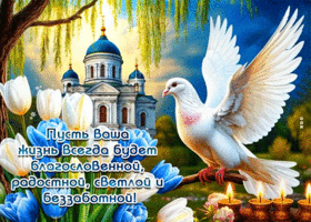 Пусть ваша жизнь всегда будет радостной, светлой