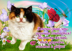 Пусть вашу страничку минует ненастье, я точно знаю, что хорошее сбывается