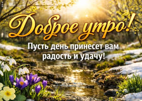 Пусть весеннее утро подарит вдохновение, спокойствие и красивые моменты на весь день.