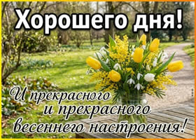 Пусть всё вокруг радует свежестью, лёгкостью и красивым настроением.