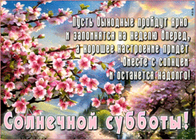 Пусть выходные пройдут ярко и запомнятся на неделю вперед