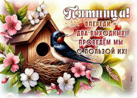 Пятница! Впереди - два выходных! Проведем мы с пользой их