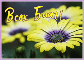 Радости вам в жизни