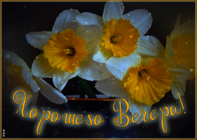 Радостная и душевная гиф-открытка Хорошего вечера