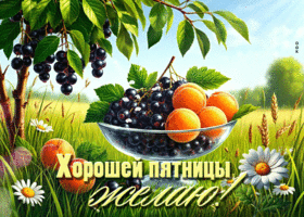 Радостная летняя гиф-открытка Хорошей пятницы желаю!