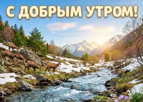 Радостного мартовского утра