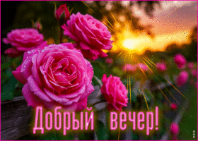 Радужная и добрая гиф-открытка Добрый вечер