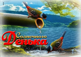 Радужная и ясная гиф-открытка Солнечного денька