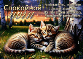 Расслабляйтесь, отдыхайте, о заботах забывайте! Спокойной ночи