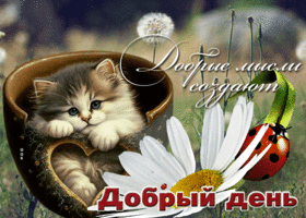 Разнообразная гиф-открытка Добрые мысли создают Добрый день