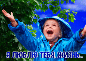 Романтическая и сентиментальная открытка Я люблю тебя, жизнь