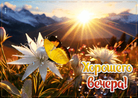 Романтичная и нежная открытка с бабочкой Хорошего вечера