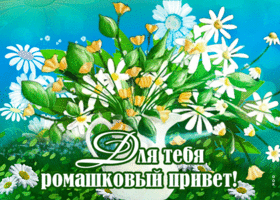 Ромашковый приветик