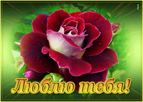Роскошная открытка я тебя люблю