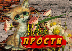 Роскошная открытка Меня прости! С котиком