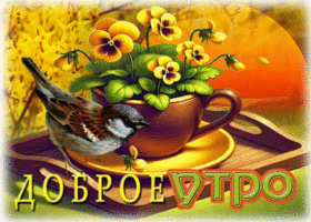 Роскошная гиф-открытка Доброе утро! С птичкой