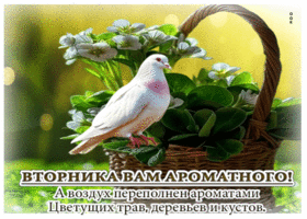 Роскошная весенняя открытка Вторника вам ароматного!