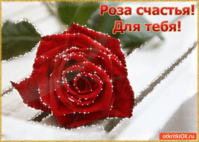 Роза счастья Для тебя! Эту я дарю тебе