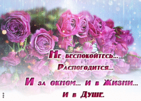 Розы сегодня твои