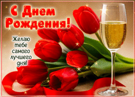 С Днем Рождения! Желаю тебе самого лучшего дня