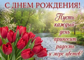 С Днём рождения, исполнения желаний