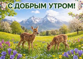С добрым утром! Пусть день будет наполнен светом и теплом