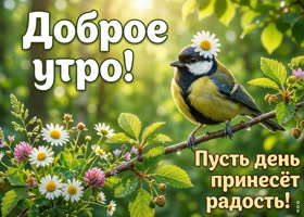 С добрым утром! Пусть день будет тёплым.