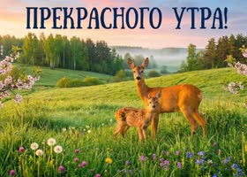 С добрым утром! Пусть удача будет рядом весь день