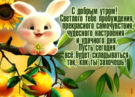 С добрым утром! Светлого тебе пробуждения и удачного дня