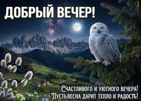 С добрым вечером! Время расслабиться и просто быть