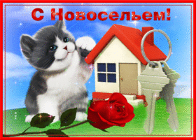 С новосельем поздравляю! Открытка с котиком